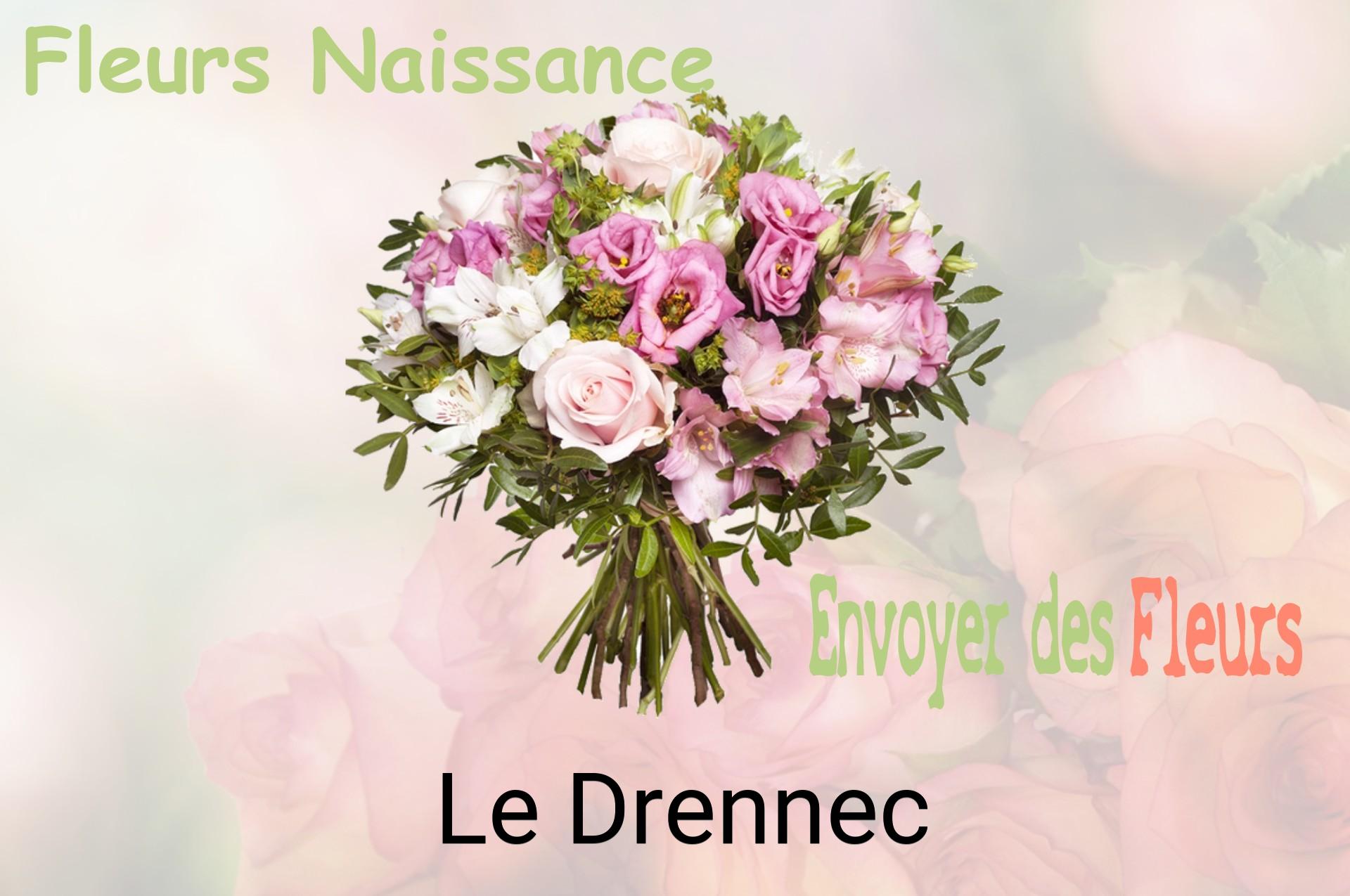 Bouquet de fleurs de naissance livré à Le Drennec